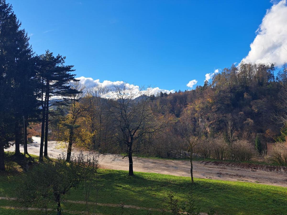 Greenriver Apartment Spodnje Gorje المظهر الخارجي الصورة