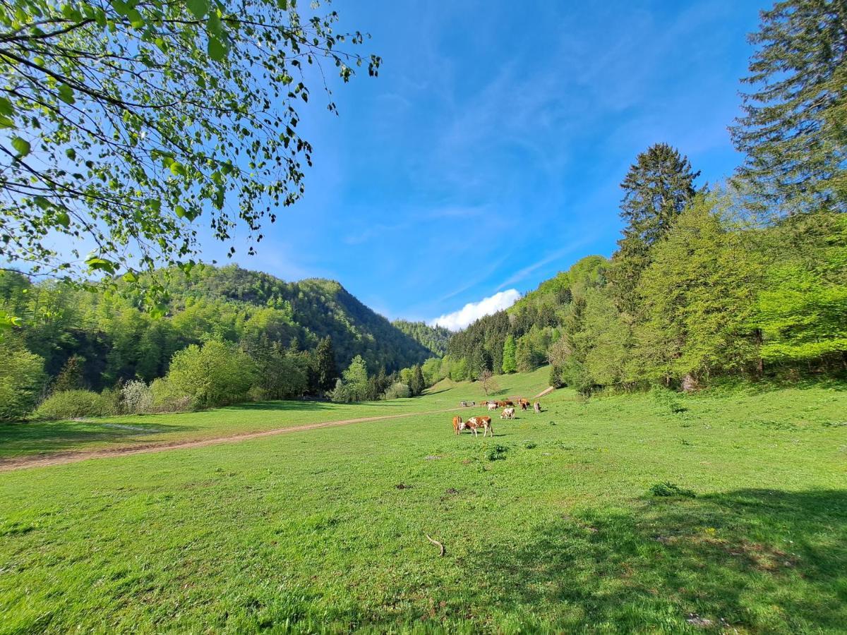 Greenriver Apartment Spodnje Gorje المظهر الخارجي الصورة